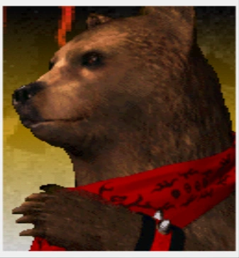 Kuma portrait